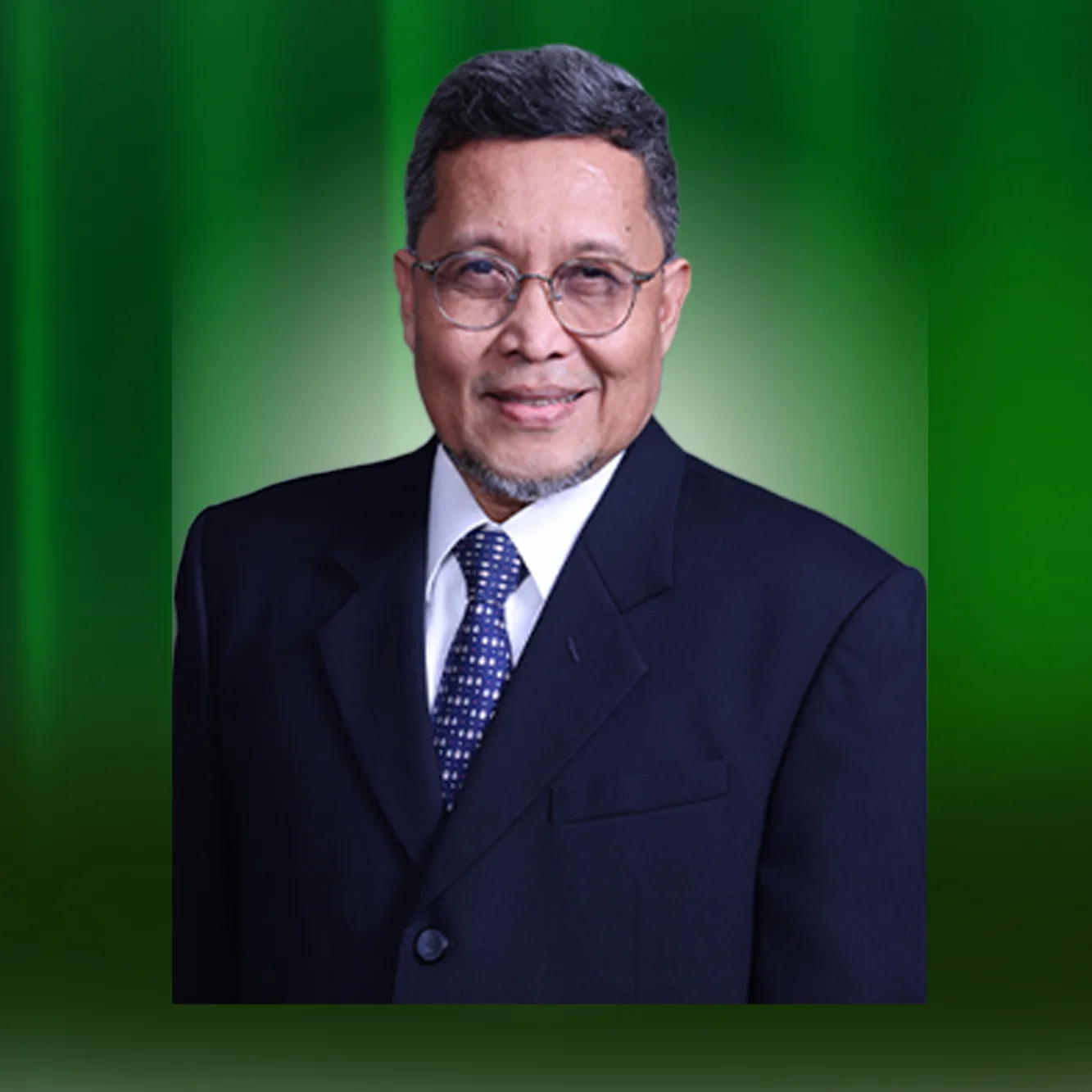 prof. zainal hasibuan