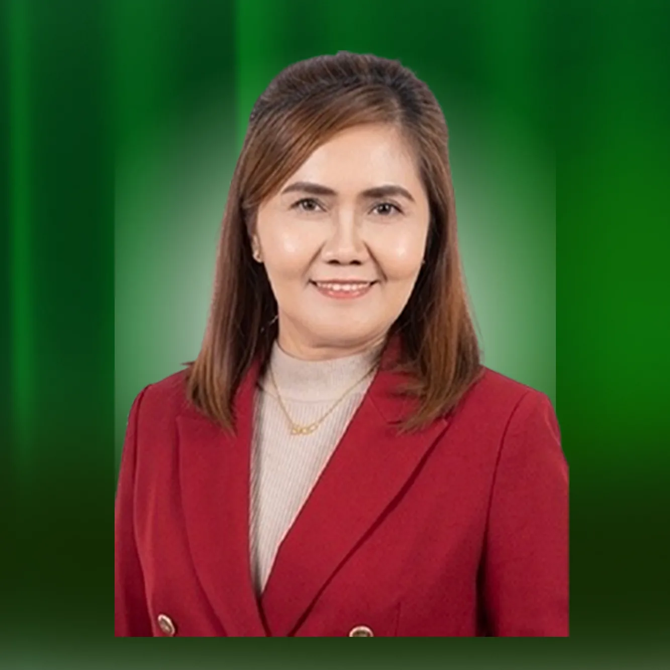 prof. zainal hasibuan